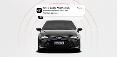 imagem_diferencial2