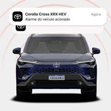 imagem_diferencial4
